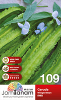 Winged Bean Garuda