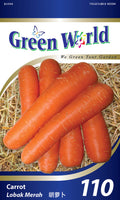 Carrot - CityFarm Malaysia - The Urban Farming Expert