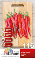 F1 Chili Big Raja Kulai - CityFarm Malaysia - The Urban Farming Expert