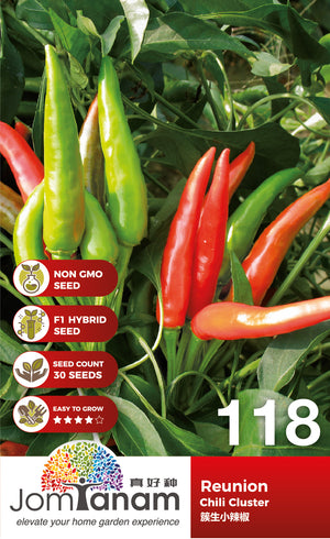F1 Chilii Cluster Reunion - CityFarm Malaysia - The Urban Farming Expert