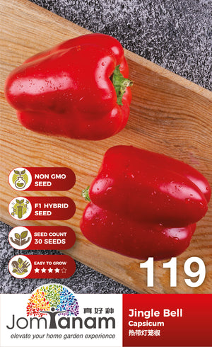 F1 Capsicum Jingle Bell