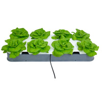 AutoPot Double Hydrotray for Leafy Greens and Herbs 2024 Model