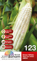 F1 Waxy Corn White Snow White - CityFarm Malaysia - The Urban Farming Expert