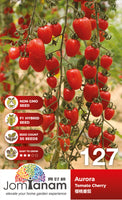 F1 Tomato Cherry Aurora - CityFarm Malaysia - The Urban Farming Expert