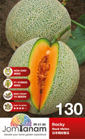 F1 Rock Melon Rocky - CityFarm Malaysia - The Urban Farming Expert