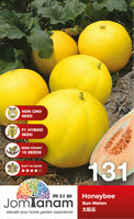 F1 Sun Melon Honeybee - CityFarm Malaysia - The Urban Farming Expert