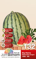 F1 Watermelon Dragon Big Mama
