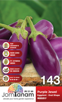 F1 Eggplant Oval Sape Purple Jewel 143