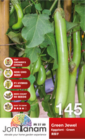 F1 Eggplant Green Green Jewel 145