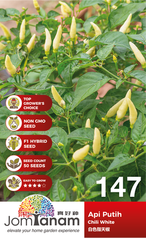 F1 Chili White Api Putih 147