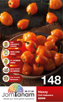 F1 Chili Habanerno Maxxy 148 - CityFarm Malaysia - The Urban Farming Expert