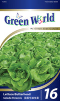 Lettuce Butterhead - CityFarm Malaysia - The Urban Farming Expert