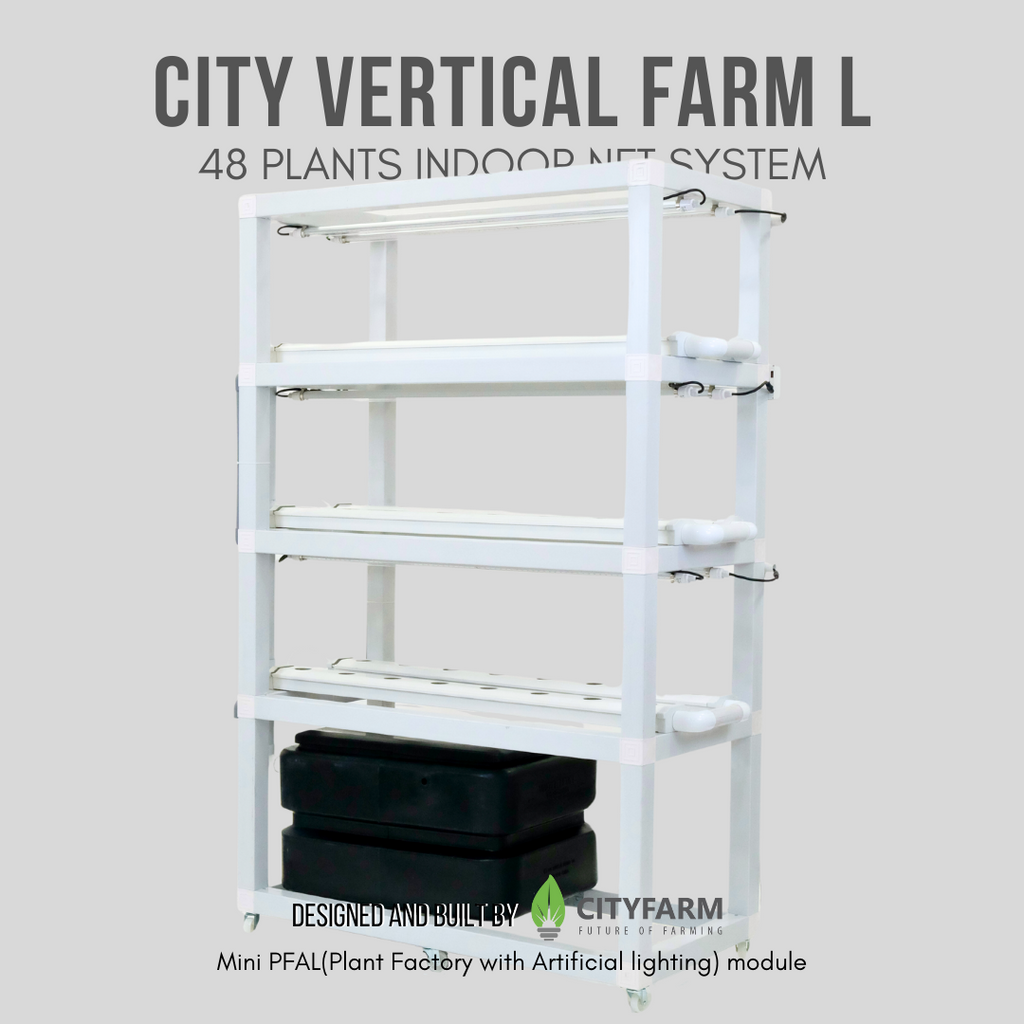 City Vertical Farm L 2024