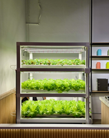 City Vertical Farm XL