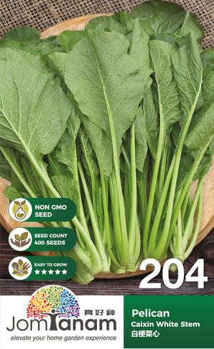 Caixin White Stem Pelican - CityFarm Malaysia - The Urban Farming Expert