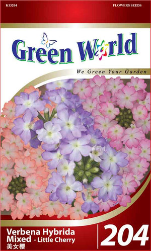 Verbena Hybrida Mixed - Little Cherry