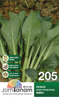 Caixin Hong Kong Orient - CityFarm Malaysia - The Urban Farming Expert