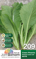 Mustard Loose Leaf Green Phoenix