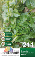 Malabar Spinach Green Emerald