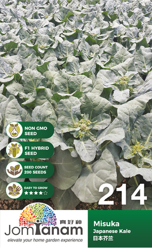 F1 Japanese Kale Misuka