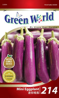 Mini Eggplant - CityFarm Malaysia - The Urban Farming Expert