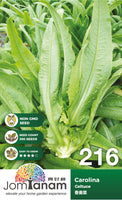 Celtuce Carolina