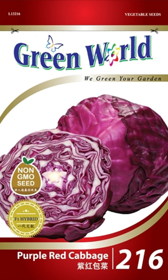 Purple Red Cabbage