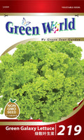 Green Galaxy Lettuce - CityFarm Malaysia - The Urban Farming Expert