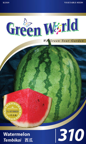 Watermelon - Red Rocky - CityFarm Malaysia - The Urban Farming Expert