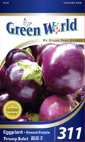 F1 Eggplant - Round Purple - CityFarm Malaysia - The Urban Farming Expert