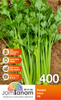 Celery Puteri 400 - CityFarm Malaysia - The Urban Farming Expert