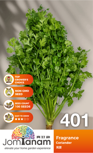 Coriander Fragrance 401