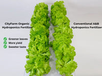 Organic Hydroponics Fertilizer For Leafy Green 1 Liter - CityFarm Malaysia - The Urban Farming Expert