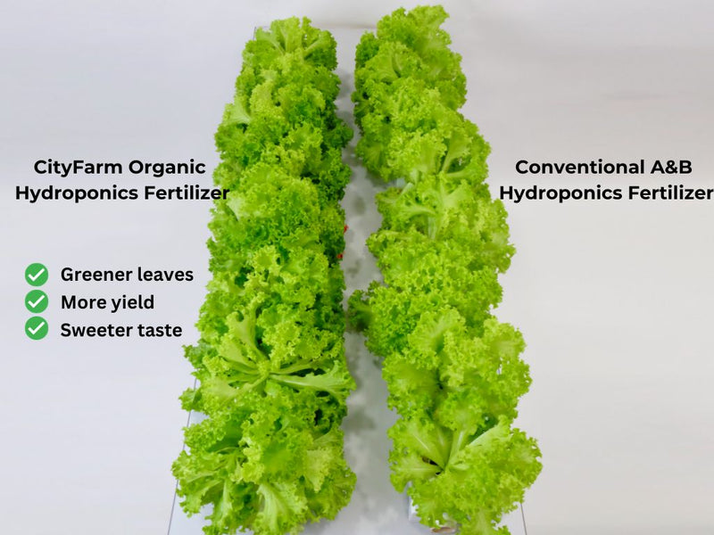 Organic Hydroponics Fertilizer For Leafy Green 1 Liter