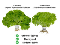 Organic Hydroponics Fertilizer For Leafy Green 1 Liter - CityFarm Malaysia - The Urban Farming Expert