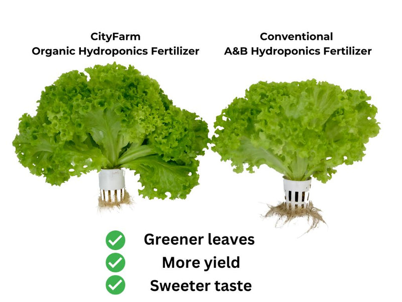 Organic Hydroponics Fertilizer For Leafy Green 1 Liter