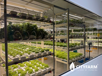 4 Level Plant Factory with Artificial Light(PFAL) Vertical Farm Module - CityFarm Malaysia - The Urban Farming Expert