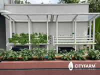 CityFarm 4-Tier 7ft waterfall Farm with Solar Kit 2026