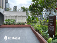 CityFarm 4-Tier 7ft waterfall Farm with Solar Kit 2026