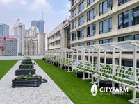 CityFarm 4-Tier 7ft waterfall Farm with Solar Kit 2026