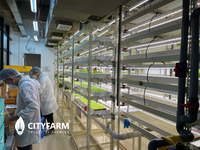 4 Level Plant Factory with Artificial Light(PFAL) Vertical Farm Module - CityFarm Malaysia - The Urban Farming Expert