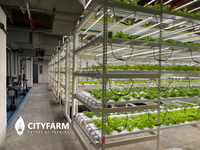 4 Level Plant Factory with Artificial Light(PFAL) Vertical Farm Module - CityFarm Malaysia - The Urban Farming Expert