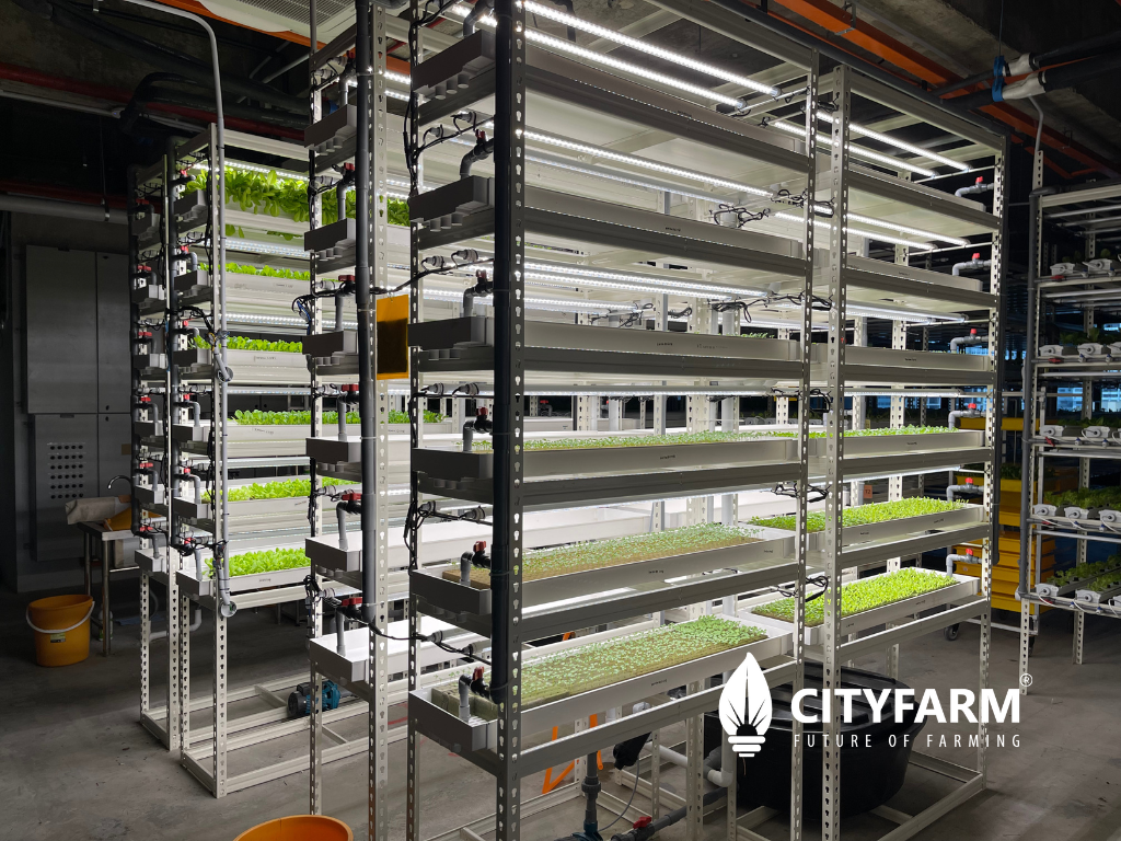 4 Level Plant Factory with Artificial Light(PFAL) Vertical Farm Module ...