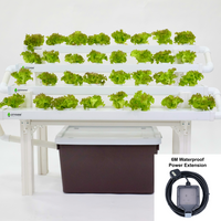 CityFarm 4-Tier Waterfall Home Garden (4ft NFT Channel)