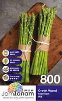 F1 Asparagus Green Wand - CityFarm Malaysia - The Urban Farming Expert