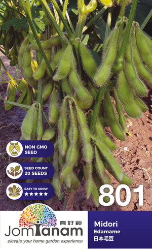 Edamame Midori