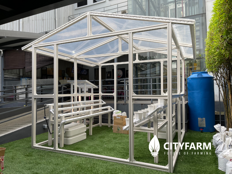 Mini Rain Shelter House For Urban Farming