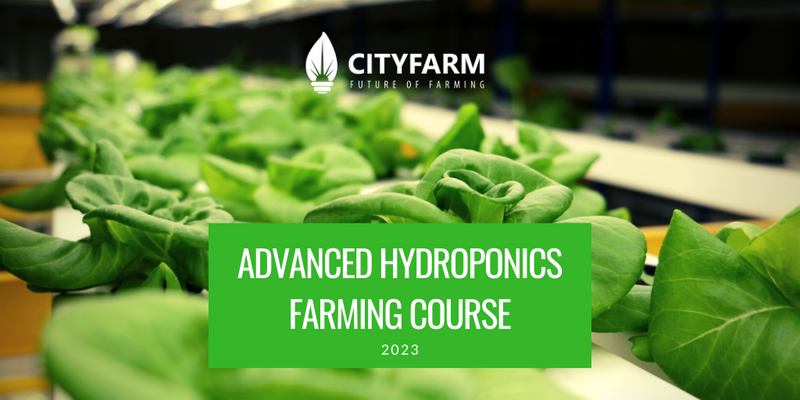 Hydroponics Farming Course with FREE Farm Set (25th Nov 2023)