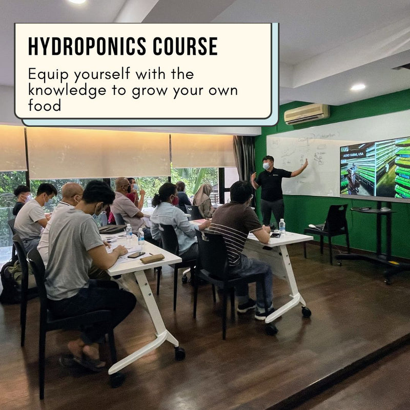 Hydroponics Farming Course with Farm Tour & Farm Set (23rd May 2026)