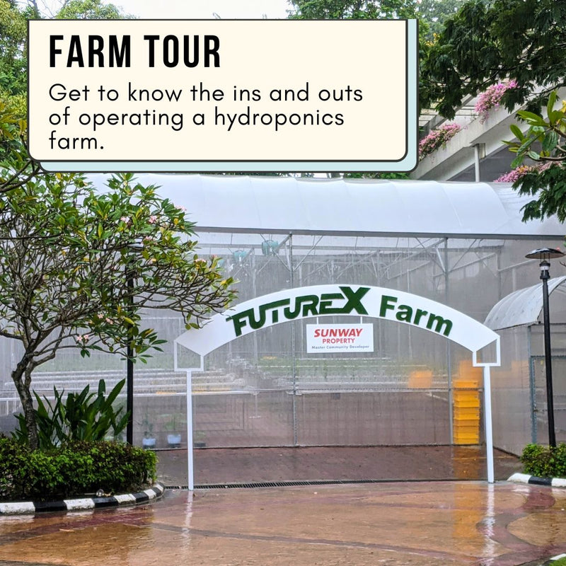 Hydroponics Farming Course with Farm Tour & Farm Set (23rd May 2026)